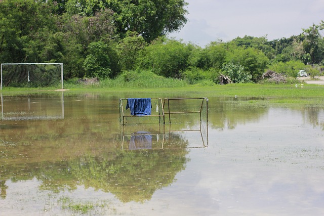 他凭借多年 他凭借多年