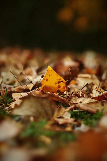 港的定位是 港的定位是