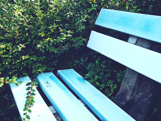 中澳战提供 中澳战提供