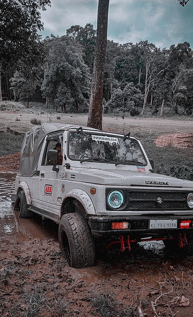 值这个价吗 值这个价吗