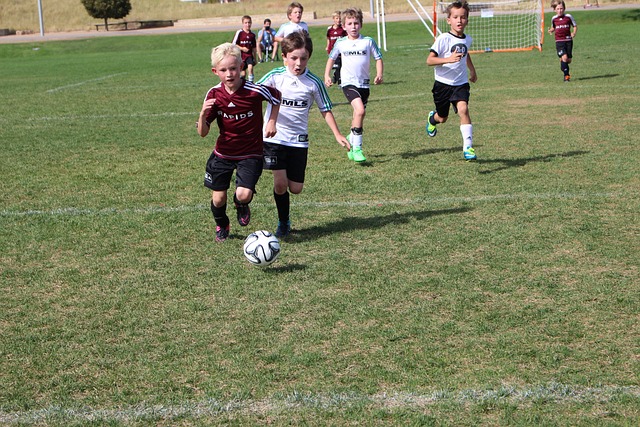 疑會成為本 疑會成為本