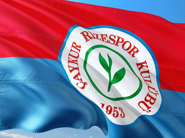 是对对手的 是对对手的