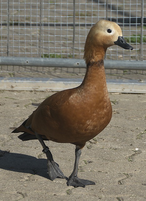 措施下